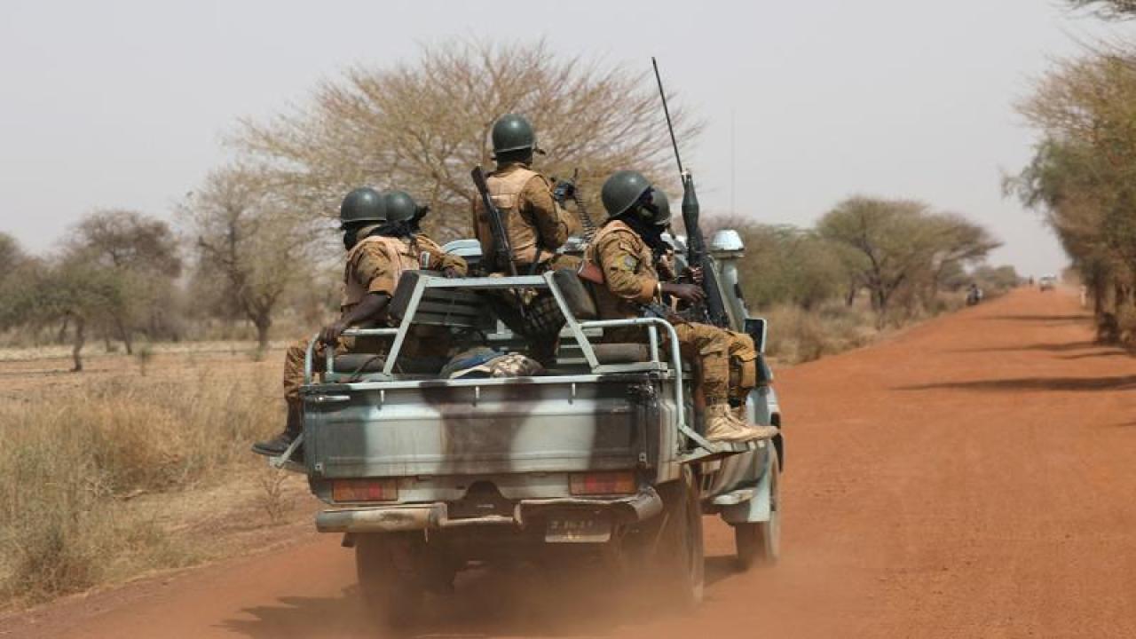 Güney Afrika da kaçak avcılar, vahşi yırtıcıları zehirleyerek öldürüyor