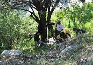 ORMANLARIMIZA SAHİP ÇIKALIM BİRLİĞİ, YENİDEN OLUŞTURULDU 