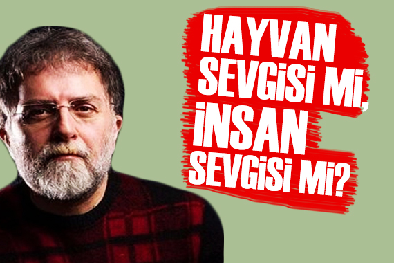 Ahmet Hakan: Hayvan sevgisi ile insan sevgisi arasında tercihine zorlanıyoruz!