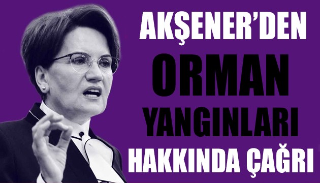 Meral Akşener'den orman yangınları hakkında çağrı