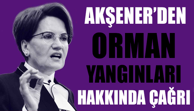 Meral Akşener den orman yangınları hakkında çağrı