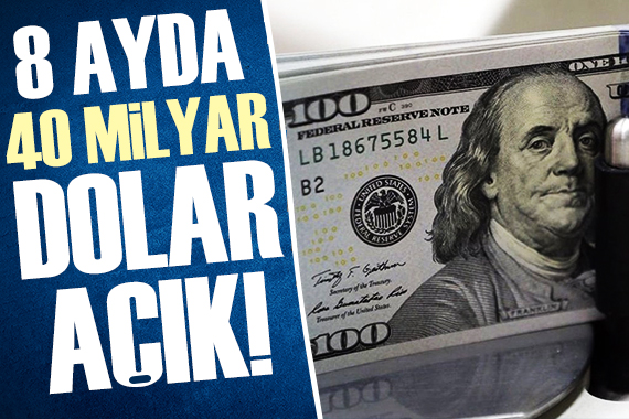 Alaattin Aktaş yazdı: 8 ayda 40 milyar dolar açık!