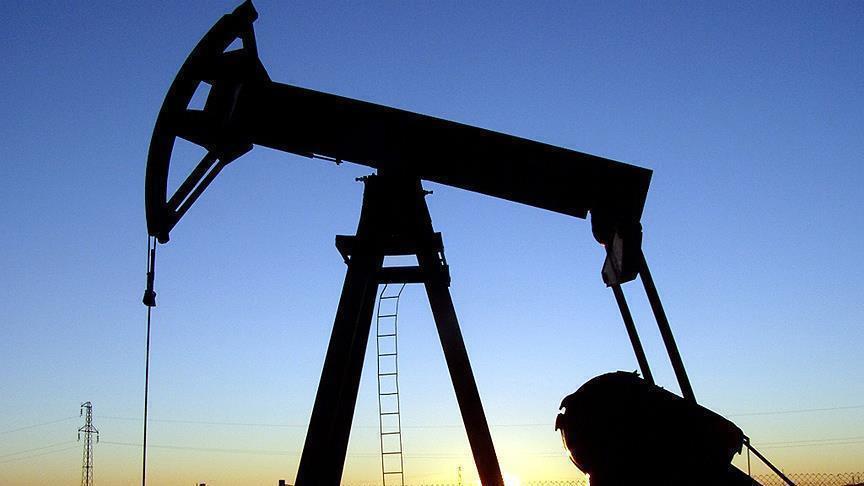 OPEC in petrol ihracatı geliri yüzde 28 arttı