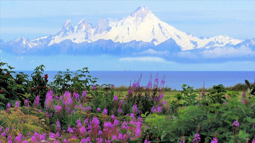 Alaska da tüm zamanların sıcaklık rekoru
