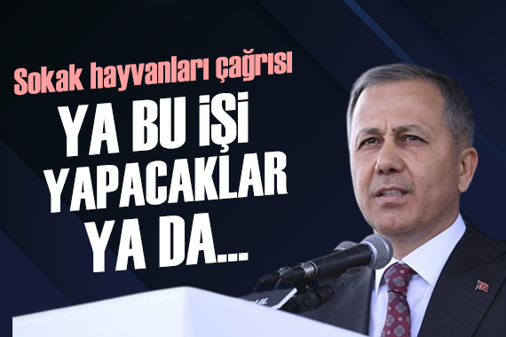 Bakan Yerlikaya dan belediyelere sokak hayvanları çağrısı: Ya bu işi yapacaklar ya da...