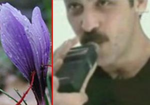 Alkol Metreyi Şaşırtan Bitkiye Hücum