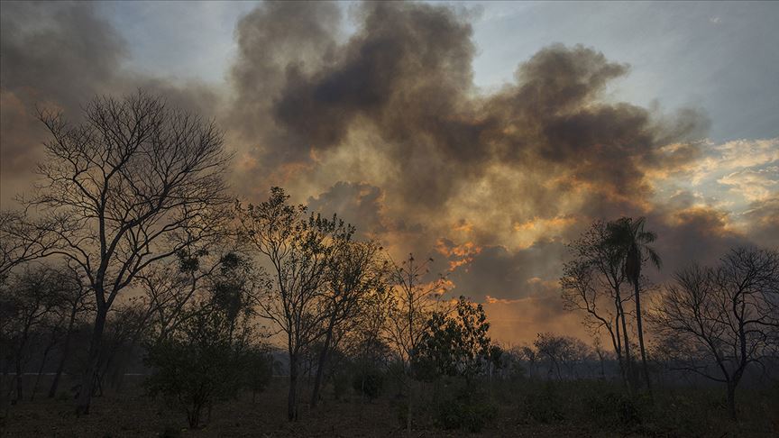 Amazonlarda hava kirliliği artıyor