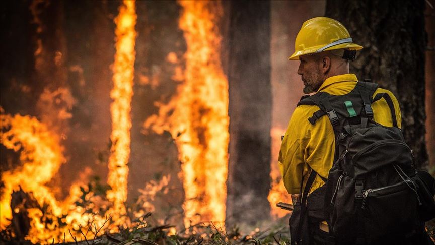Amazon ormanlarında yılbaşından bu yana 72 binden fazla yangın çıktı