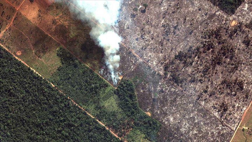 Amazonlar da yangınlar sürüyor