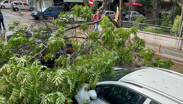 Ankara'da sağanak yağış etkili oldu