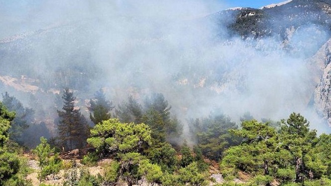 Antalya da orman yangını! Havadan ve karadan müdahale ediliyor