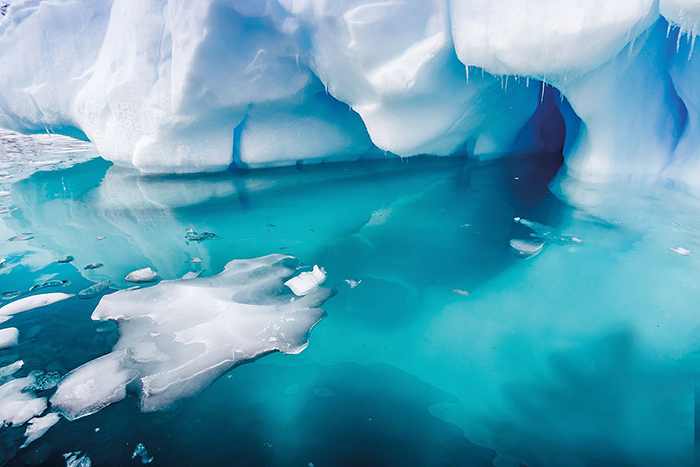 Antarktika daki buz sahanlığında yeni bir yaşam formu keşfedildi