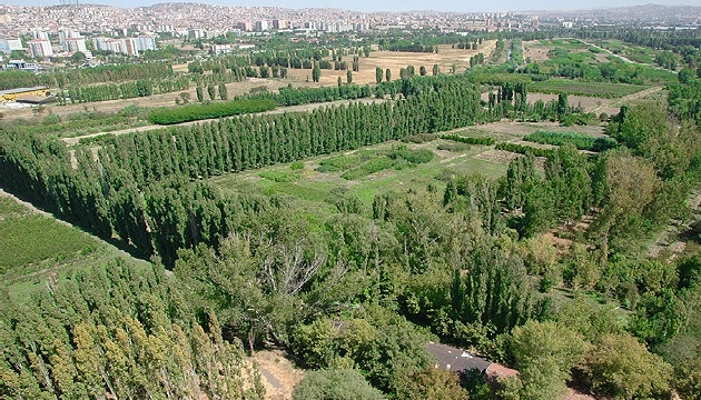 AYM, Atatürk ün vasiyetini bulamadı