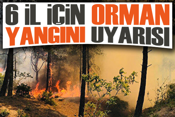 AFAD’dan 6 il için orman yangını uyarısı