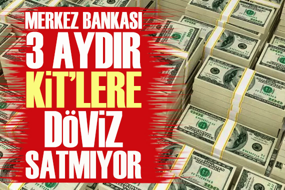 Merkez Bankası üç aydır KİT lere döviz satmıyor