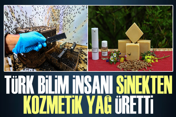 Türk bilim insanları sinekten yağ çıkardı: Litresi 1.185 TL