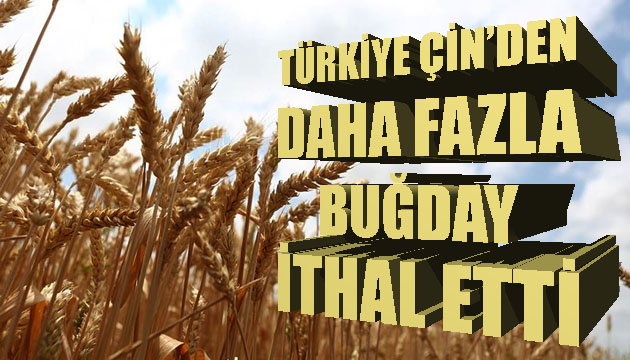 Türkiye, 1.4 milyar nüfuslu Çin den daha fazla buğday ithal etti