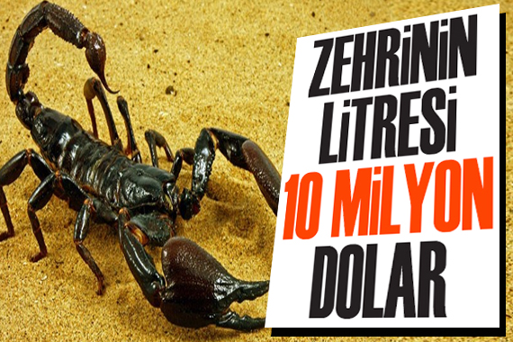 Zehrinin litresi 10 milyon dolar!