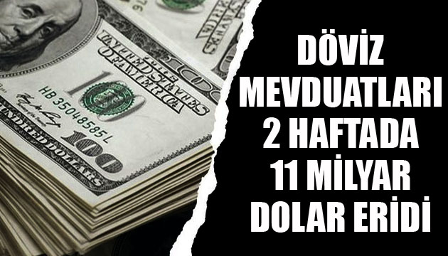 Döviz mevduatları 2 haftada 11 milyar dolar eridi