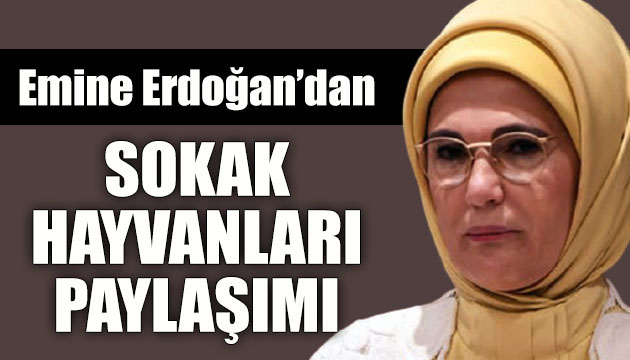 Cumhurbaşkanı Erdoğan ın eşi Emine Erdoğan dan sokak hayvanları paylaşımı