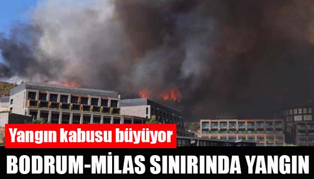 Türkiye yangınlarla mücadele ediyor: Bodrum - Milas sınırında yangın