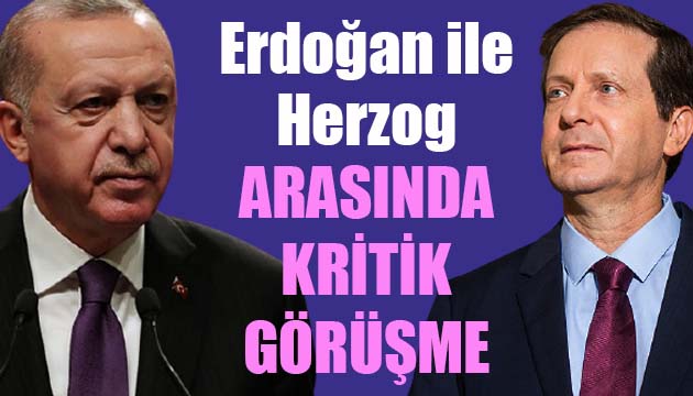 Erdoğan ile Herzog arasında kritik görüşme