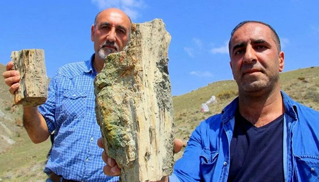 Erzurum’da 160 milyon yıllık ağaç kalıntıları bulundu!