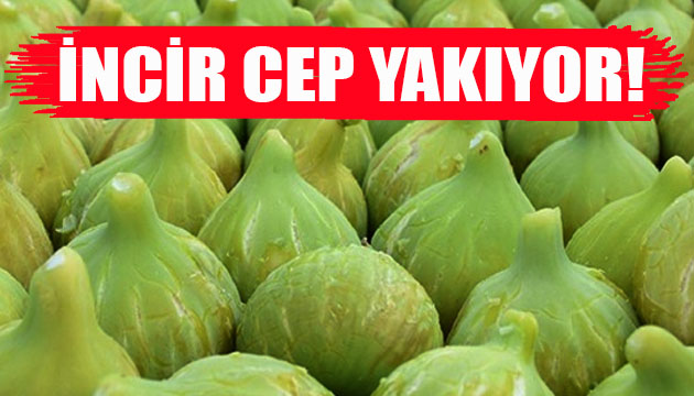 İncirin fiyatı cep yakıyor!