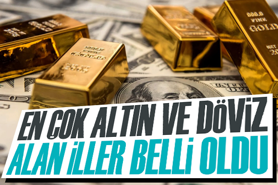 En çok döviz ve altın alan iller belli oldu