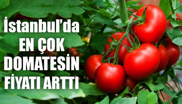 İstanbul da en çok domatesin fiyatı arttı