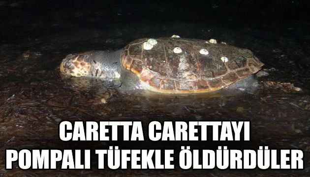 Caretta carettayı pompalı tüfekle öldürdüler!