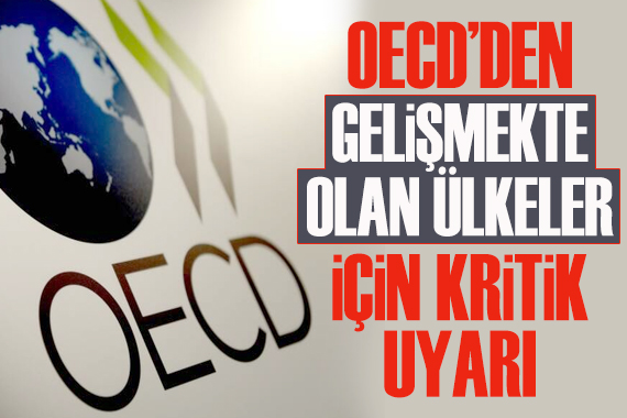 OECD den gelişmekte olan ülkeler için kritik uyarı