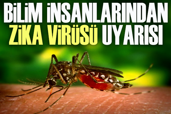  Zika virüsü mutasyona uğrayıp tehlikeli salgına neden olabilir 