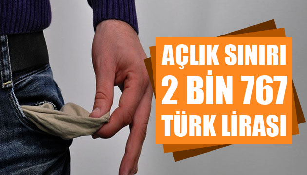 Açlık sınırı 2 bin 767, yoksulluk sınırı 9 bin 13 lira