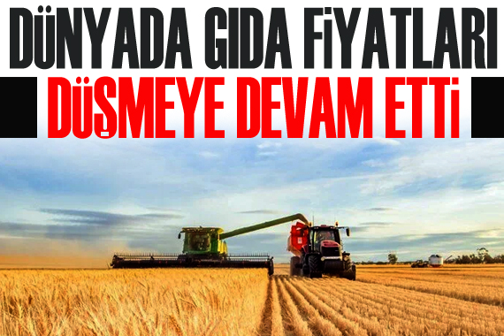 Dünyada gıda fiyatları düşmeye devam etti