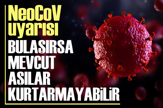  NeoCoV  uyarısı: Bulaşırsa mevcut aşılar kurtarmayabilir