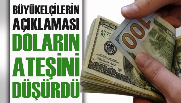 Büyükelçilerin açıklaması doların ateşini düşürdü!