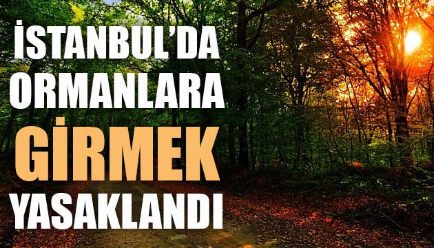 İstanbul da ormanlara girmek yasaklandı!