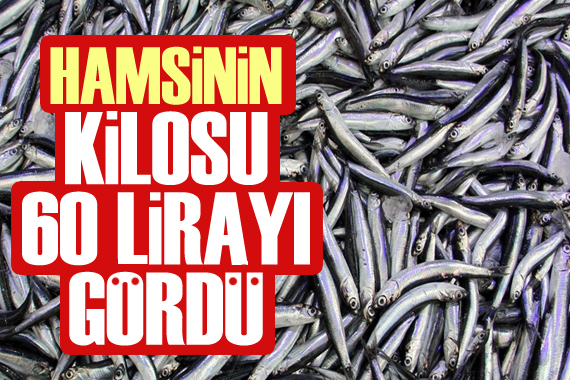 Hamsinin kilosu 60 lirayı gördü!