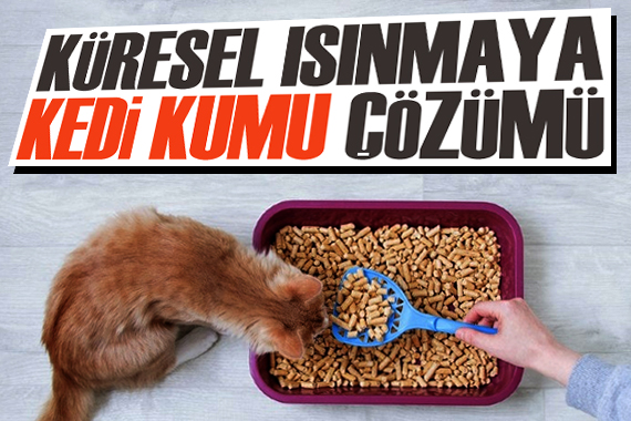 Küresel ısınmaya ‘kedi kumu’ çözümü