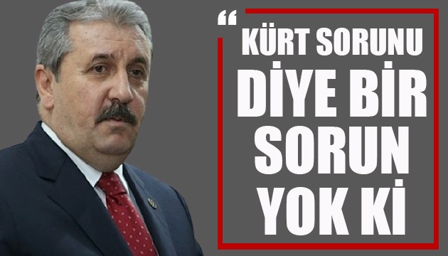 Destici: Türkiye'de 'Kürt sorunu' diye bir sorun yok ki