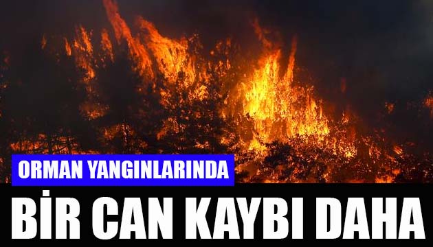 Orman yangınlarında bir can kaybı daha: Bakan Pakdemirli açıkladı