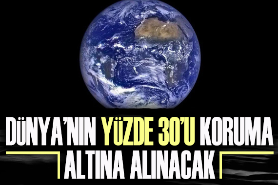 Dünya nın yüzde 30 u koruma altına alınacak