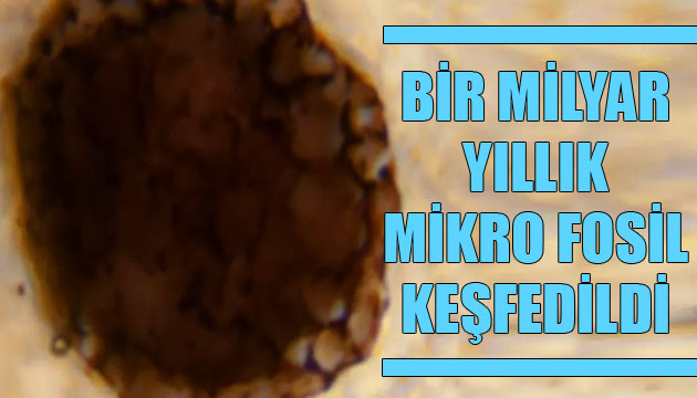 1 milyar yıllık mikro fosil keşfedildi