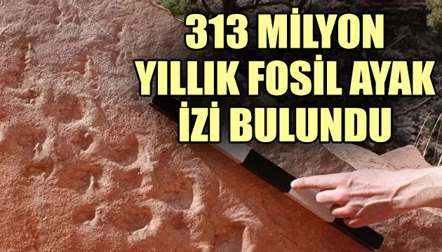 313 milyon yıllık fosil ayak izi bulundu
