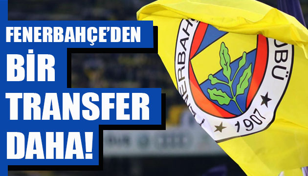 Fenerbahçe den bir transfer daha!