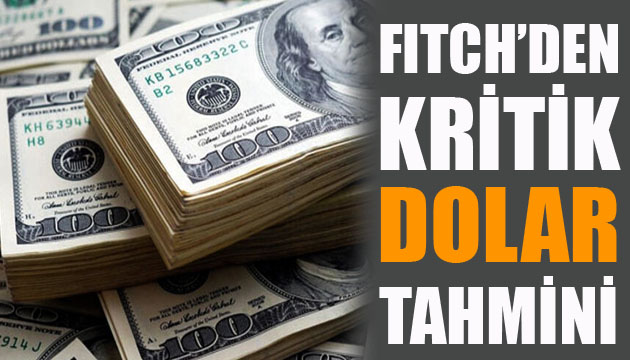 Fitch den kritik dolar tahmini