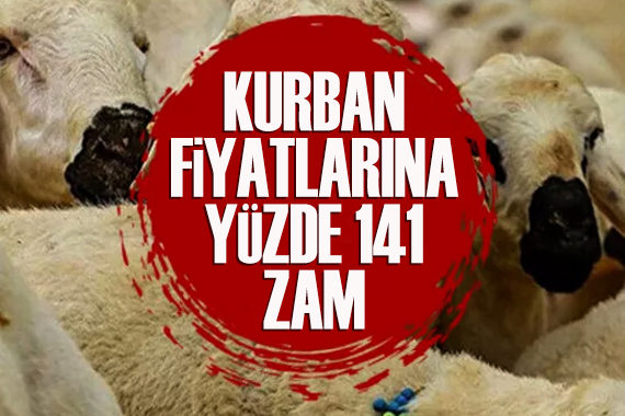 Kurban fiyatlarına yüzde 141 zam!