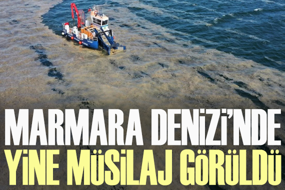 Marmara Denizi’nde yine müsilaj görüldü