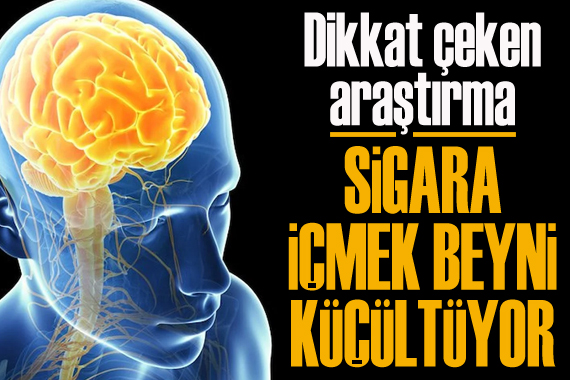Dikkat çeken araştırma: Sigara içmek beyni küçültüyor